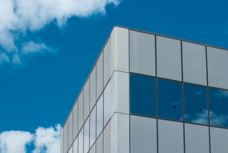 why do birds fly into windows